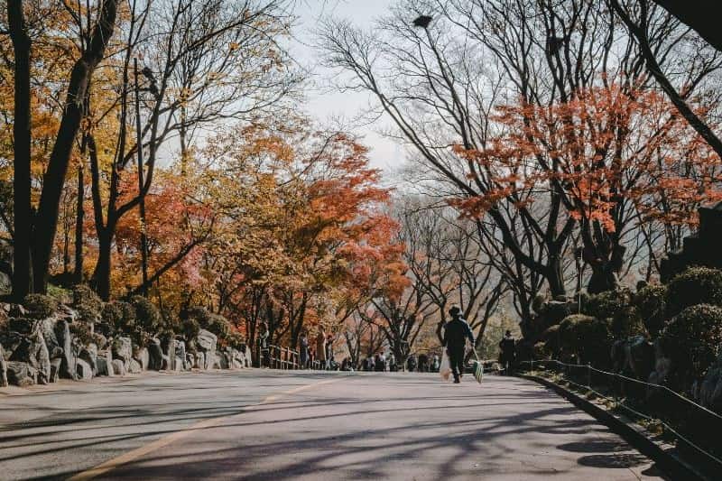 paket-tour-korea-musim-gugur_large.jpg