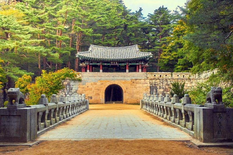 paket-tour-korea-musim-panas-2025_large.jpg