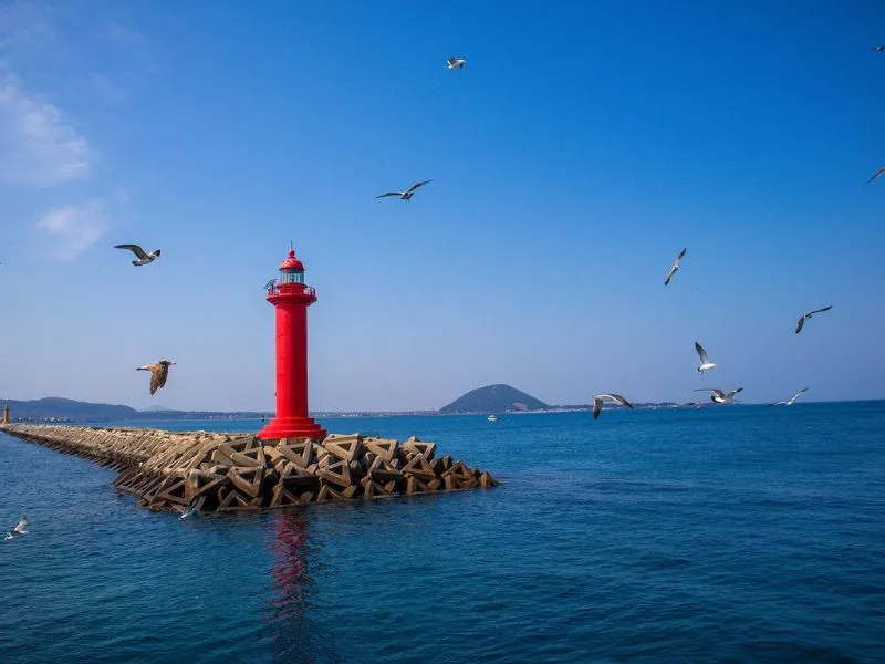 Paket Tour Korea Selatan Murah 2025, Anti Boncos!