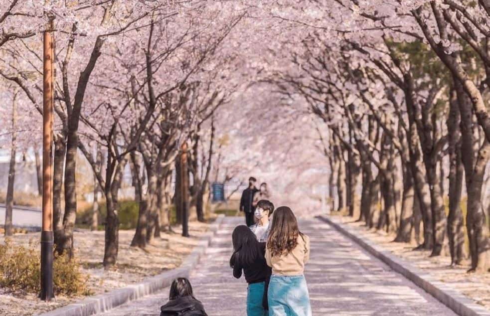 Paket Tour Korea Oktober-Januari 2024 by Asiana (Wh51)
