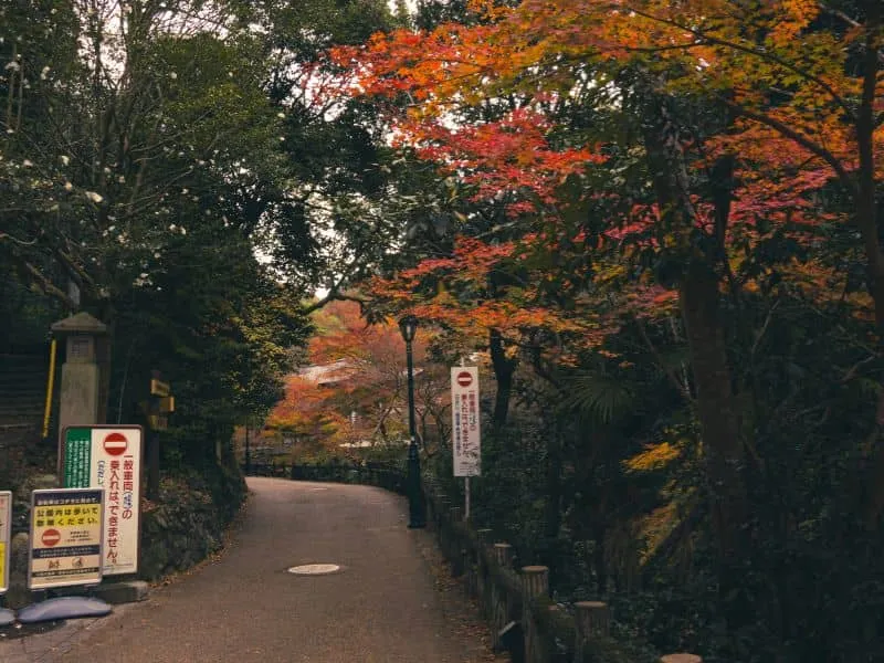Cek Paket Tour Osaka Murah, Harga Mulai 20 Jutaan!