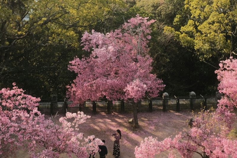 paket-tour-seoul-2026_large.jpg