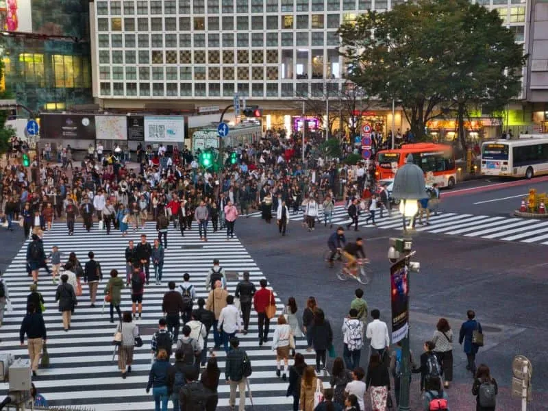 Gak Nyangka! Harga Paket Tour Shibuya Semurah Ini?