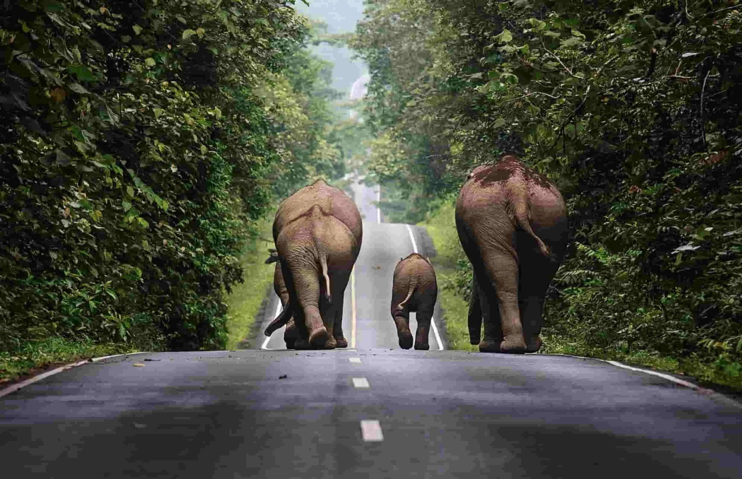 Paket Tour Thailand 2023: 6 Destinasi Wisata Untuk Wisatawan Pemula Di Thailand, Recommended!