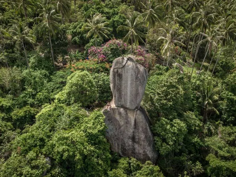 Paket Tour Thailand Februari: Explore Gajah Putih Mulai 7 Jutaan!