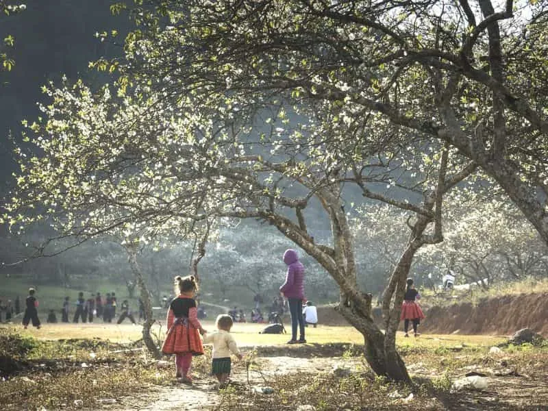Paket Tour Vietnam 2025 Ha Giang: 9 Jutaan Explore Hidden Gem!