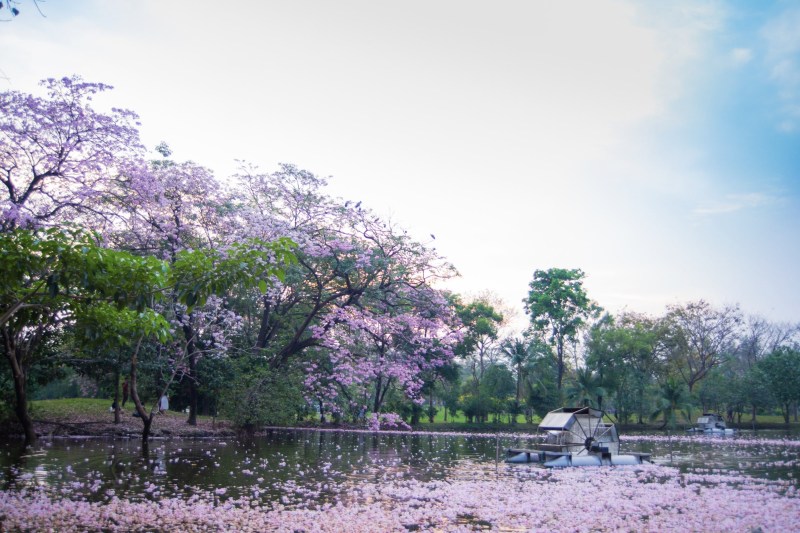 paket-wisata-bangkok_large.jpg