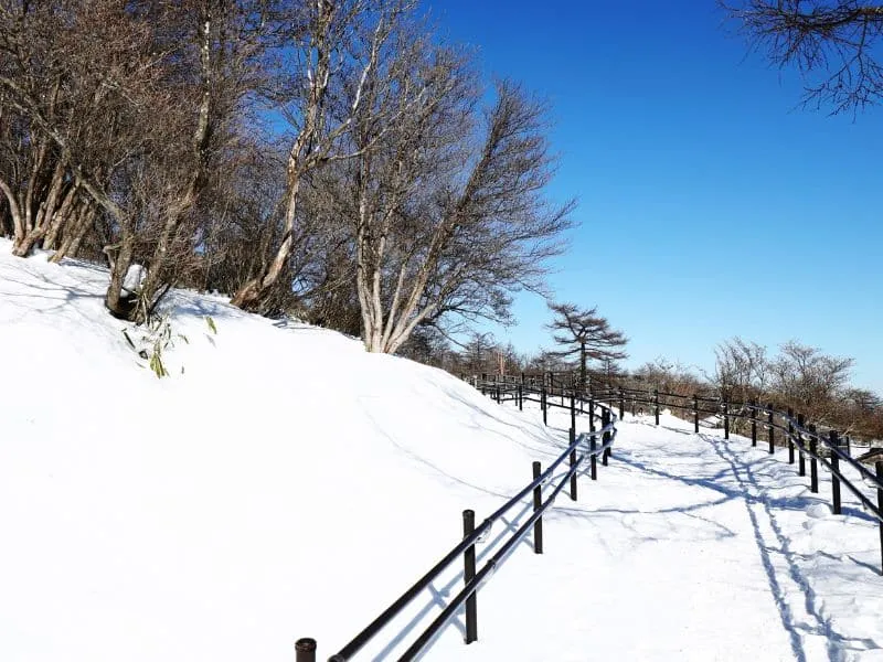 Paket Wisata Jepang Desember 7H Winter Wonderland Kansai