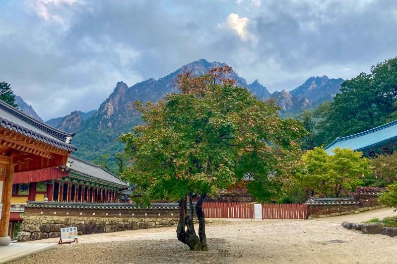 paket-wisata-korea-gangneung-dan-sokcho_large.jpg