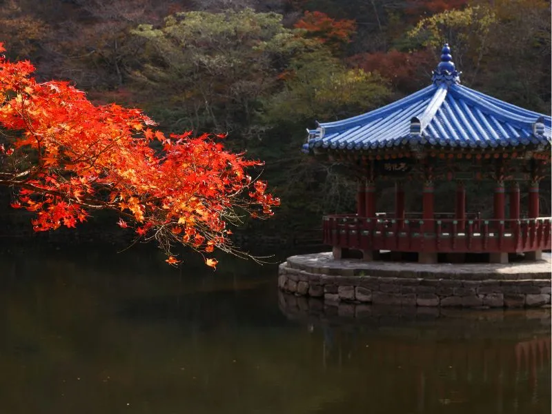 Paket wisata Korea Selatan 3 hari 2 malam – Mulai 7 Jutaan!