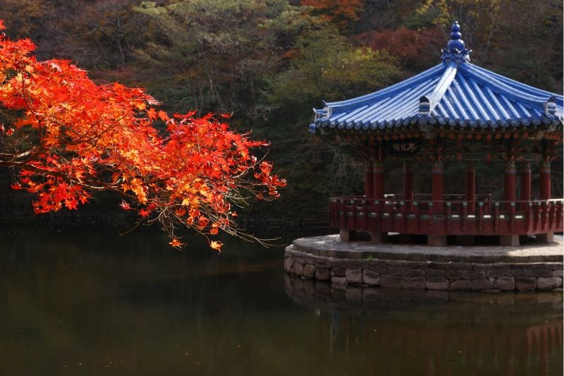 paket-wisata-korea-selatan-3-hari-2-malam_large.jpg
