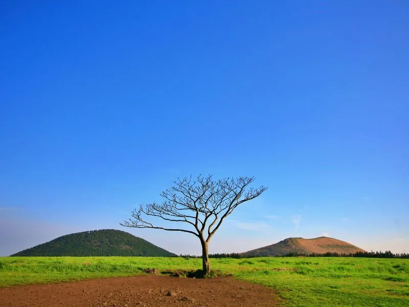 Paket Wisata Korea Selatan ke Jeju, Pilih Itinerary Sesuai Keinginanmu!