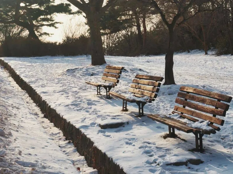 Paket Wisata Korea Ski Untuk Pemula, Mulai 13 Jutaan!