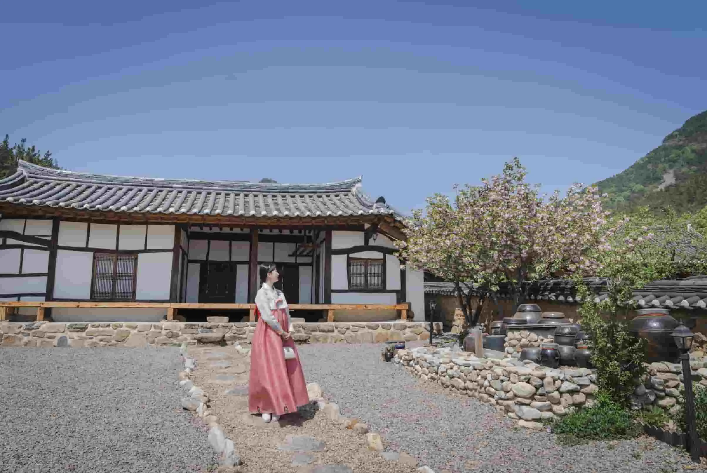 Paket Wisata Korea: Daftar Destinasi Seru Daegu Korea, Seru Banget!