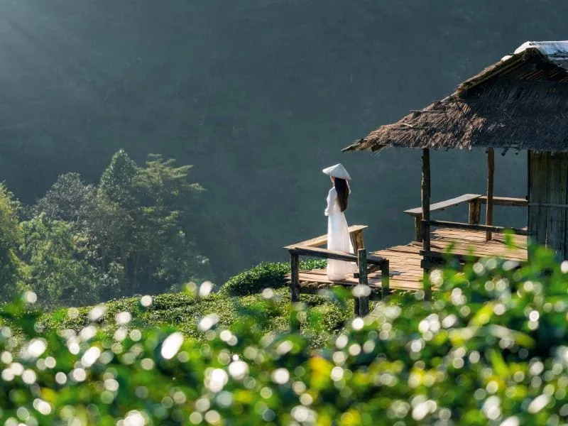 Paket Wisata Vietnam 7 Juta: Liburan Seru 5H4M, All-In!