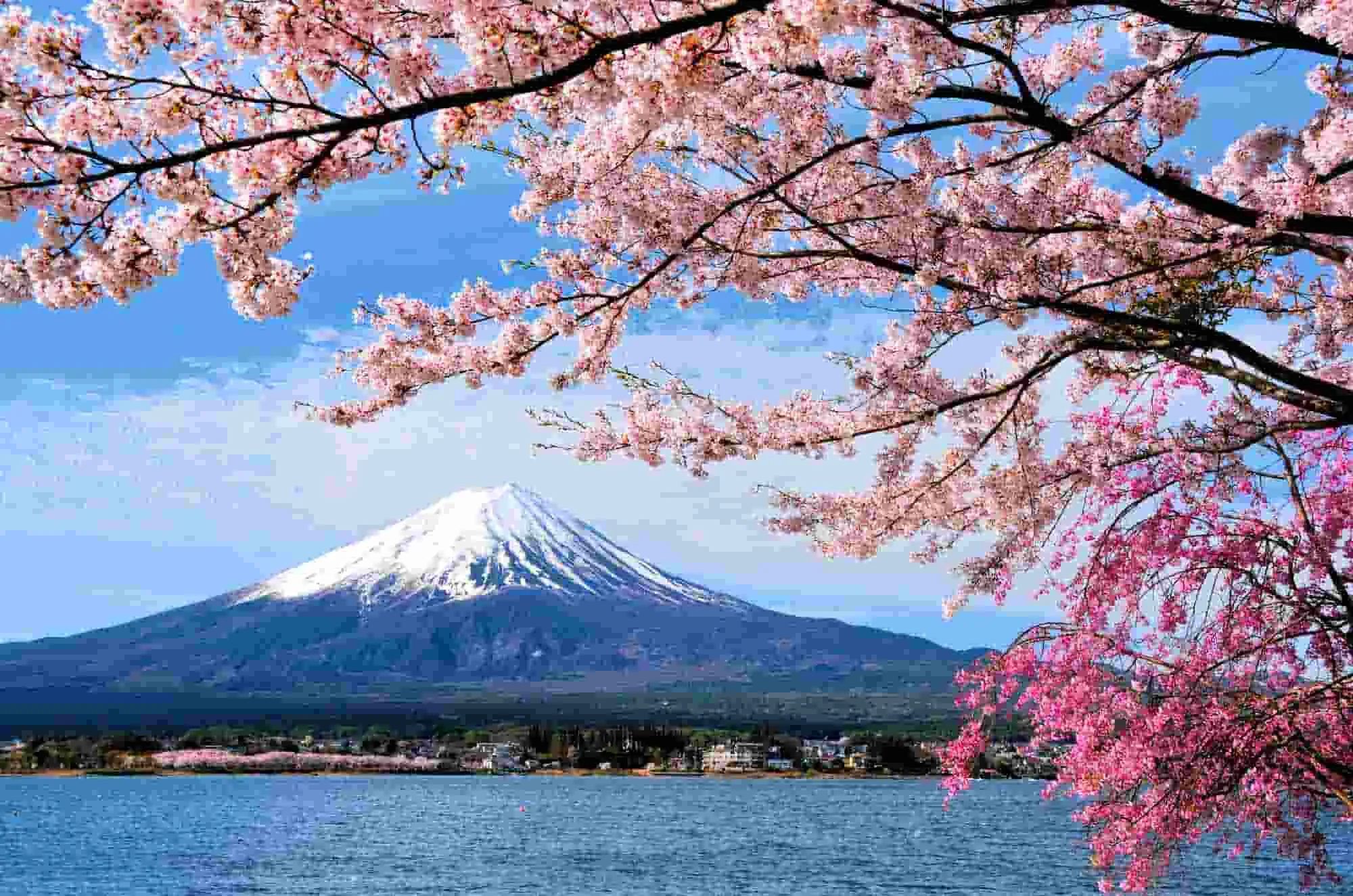 Panduan Lengkap Tour Jepang 2025: Biaya, Visa, Itinerary, dan Tips Liburan