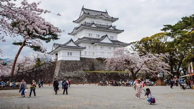 Pesona Negeri Sakura: Ekplorasi Jepang dengan Paket Tour Callista 2024