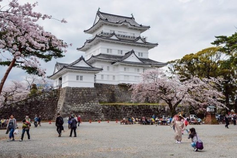 pesona-negeri-sakura-ekplorasi-jepang-dengan-paket-tour-callista-2024_large.jpg