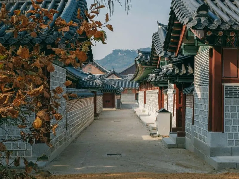 Promo Paket Wisata Korea Terbaik Dari Callista Tour!