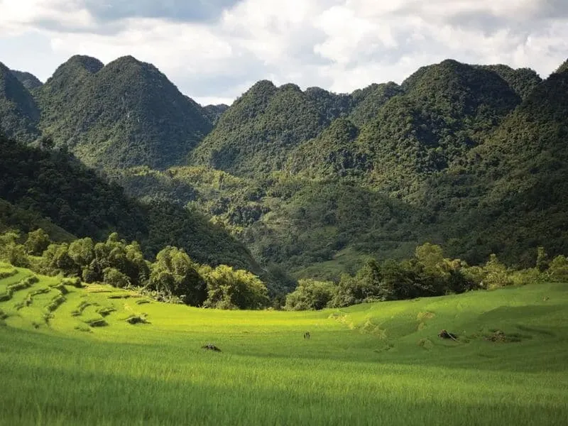 Pu Luong Nature Reserve, Tour Vietnam yang Seru!