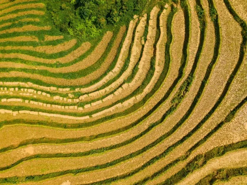 Rekomendasi Aktivitas di Sa Pa Vietnam Terbaik, Booking Perjalananmu Sekarang!