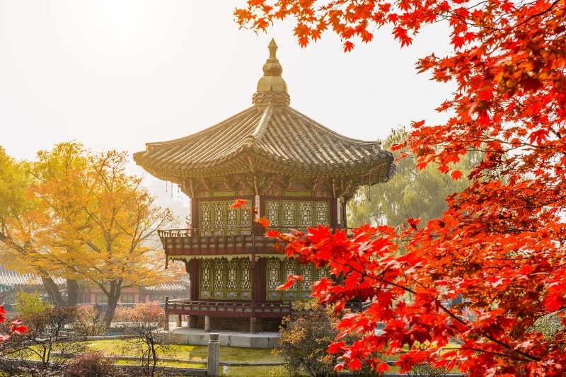 rekomendasi-tour-korea-muslim_large.jpg