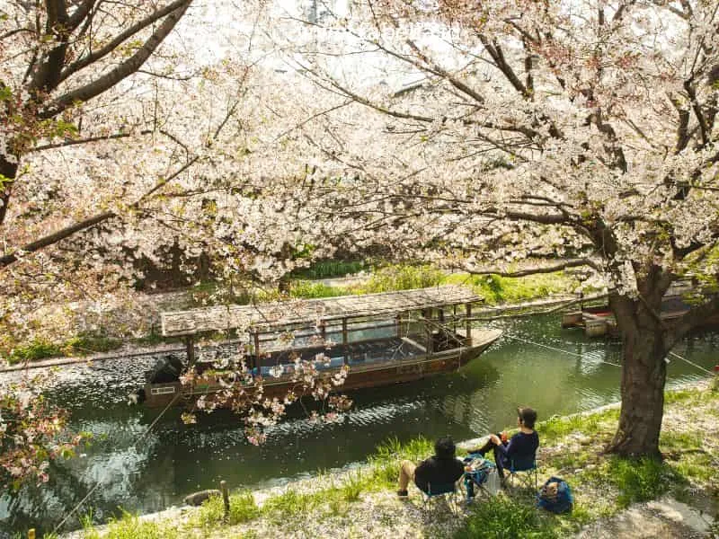 Romantic Tour Jepang, Harga Mulai 20 Jutaan!