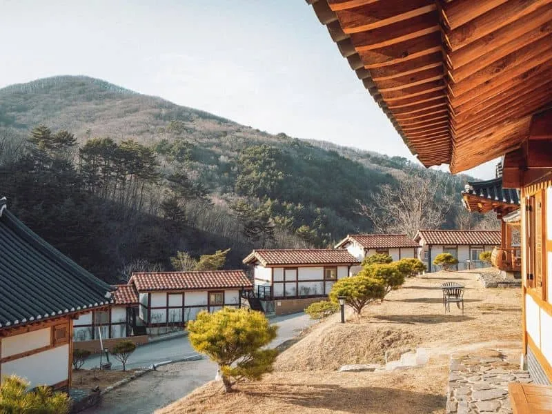 Sauna Korea 2025 - Tren Terbaru & Paket Tour Wellness Terbaik!