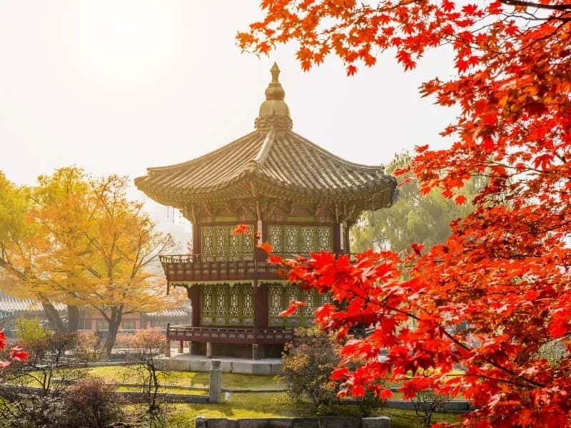 Seoul Travel Guide: Panduan Liburan & Wisata Seoul Korea