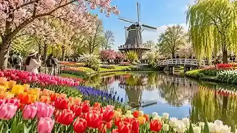 Keukenhof 2027: Jadwal Buka & Musim Tulip Belanda