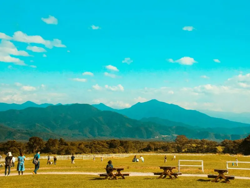 5 Tempat Camping di Jepang, Paling Recomended!