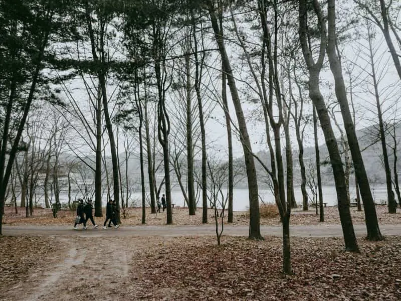 Rekomendasi 5 Tempat Camping di Korea Selatan
