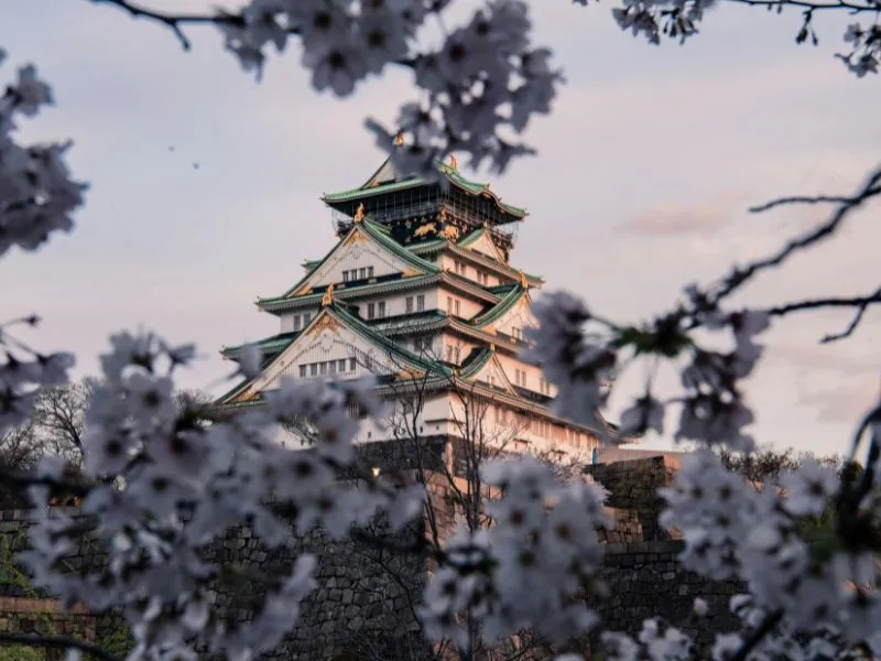 10 Rekomendasi Tempat Liburan di Jepang, Cek list Ini!