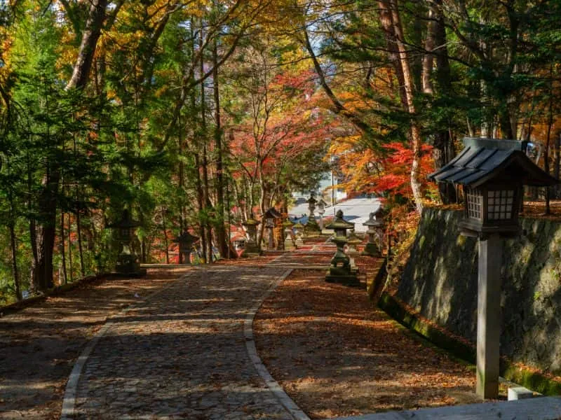 5 Tempat Momiji Di Kyoto Jepang, Cantik Banget!