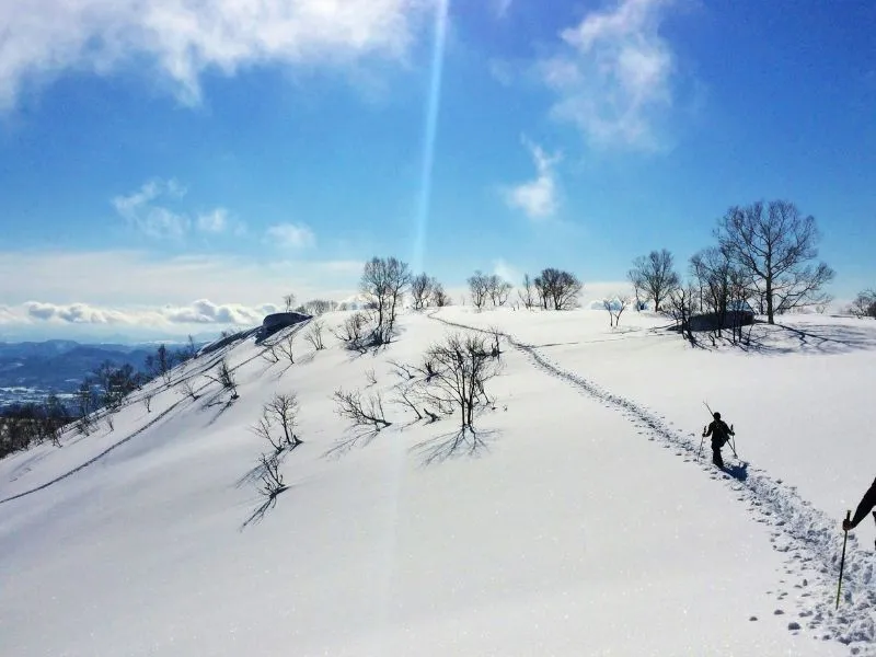 4 Tempat Ski di Jepang yang Wajib Dikunjungi!