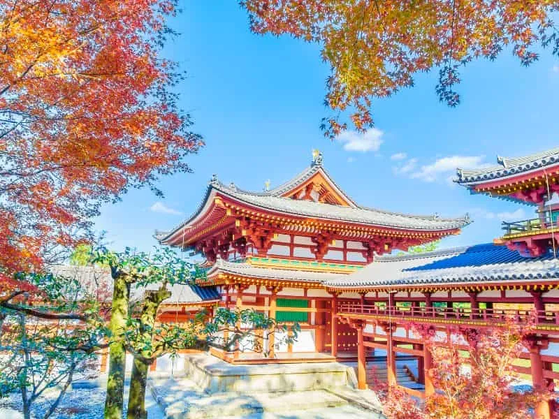 12 Tempat Terindah di Korea Selatan, Rekomendasi Healing!