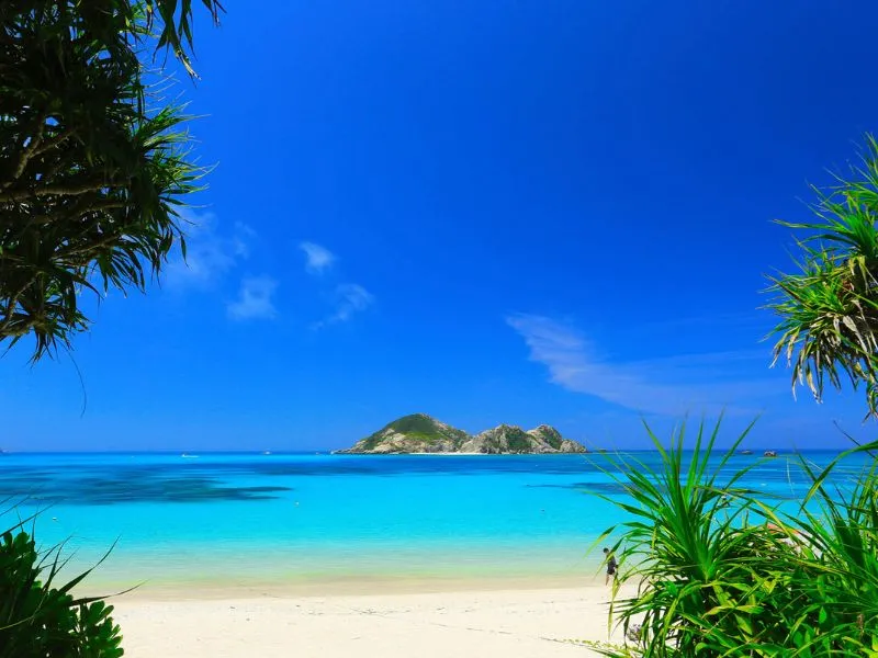 Tempat Wisata Alam di Jepang: Jelajahi Pulau Terindah Ini, Eksotis Banget!