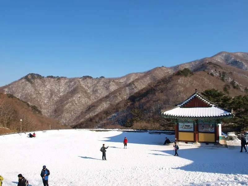 12 Tempat Wisata di Korea Selatan Saat Musim Dingin!
