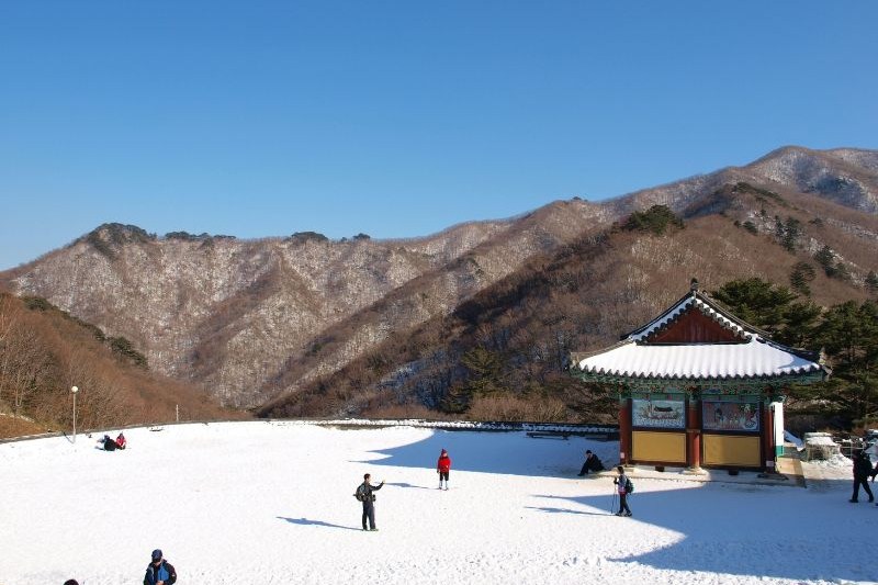 tempat-wisata-di-korea-selatan-saat-musim-dingin_large.jpg