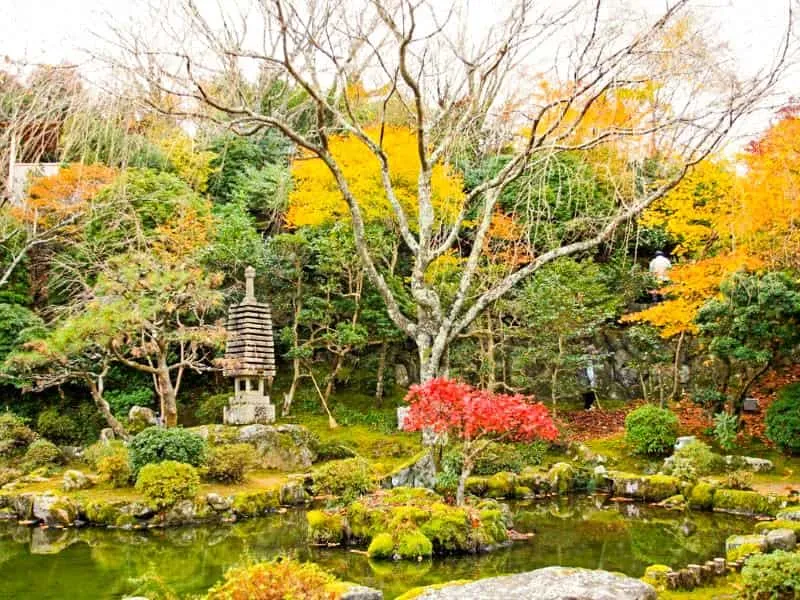 Tempat Wisata di Korea: Tempat Wisata di Paju Yang Wajib Dikunjungi 2024