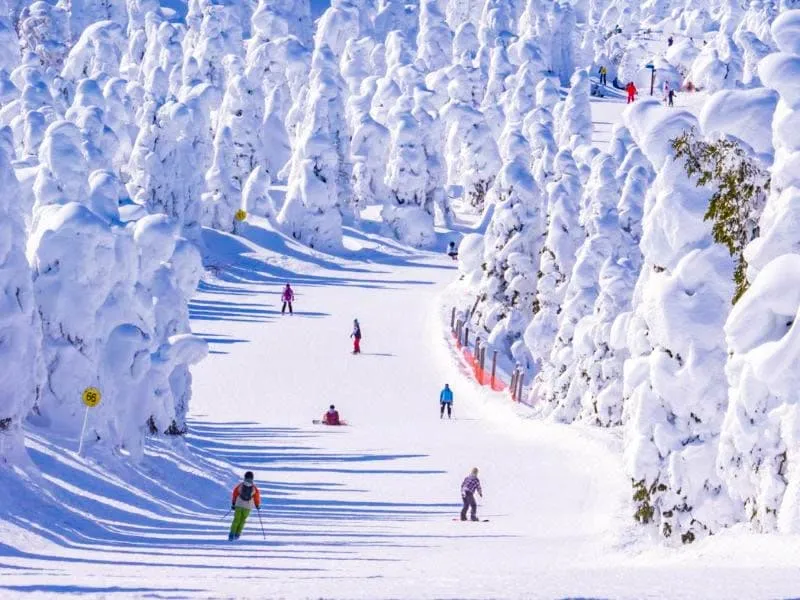 Tempat Wisata Jepang Musim Dingin: Liburan Seru di Tohoku 2024