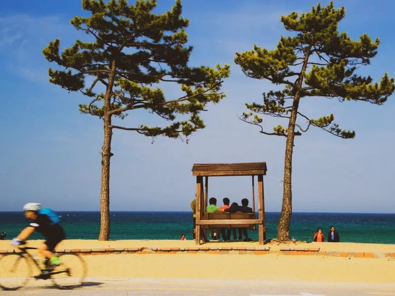 Daftar Rekomendasi Tempat Wisata Korea Musim Panas
