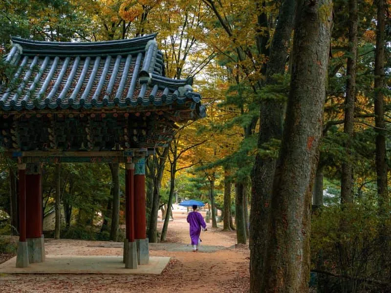Daftar Tempat Wisata Paju Korea Selatan!
