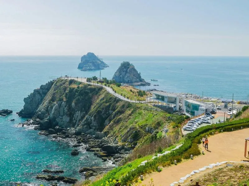 Tour Busan Daegu: Explore Seru Korea!