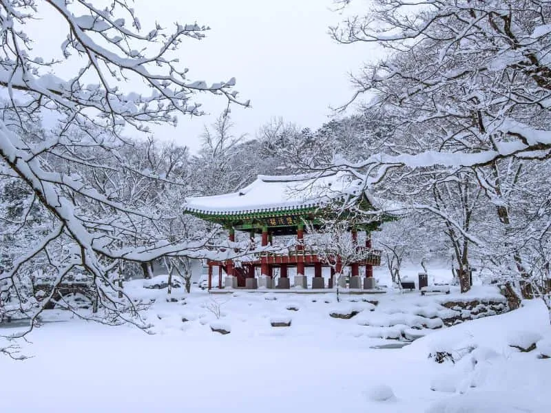 Tour China Winter 2026 - Mulai 15 Jutaan