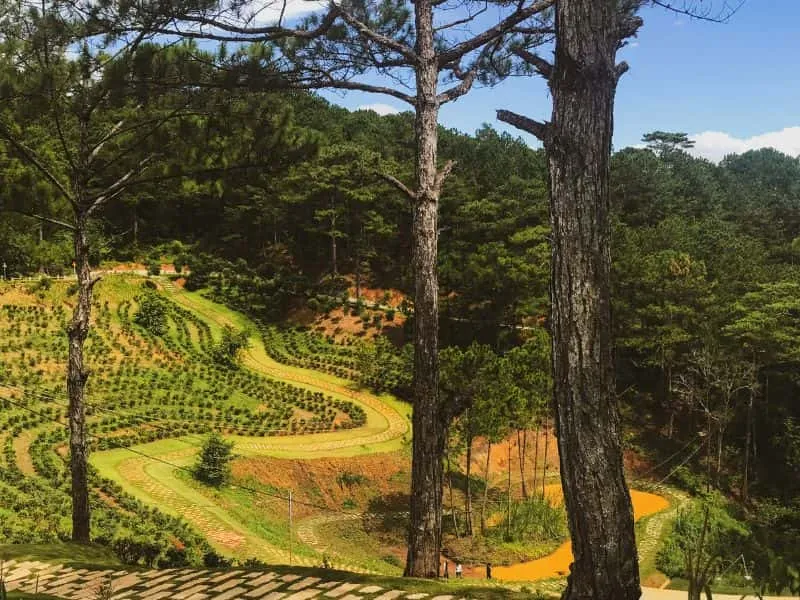 Tour Da Lat Vietnam Murah: Liburan Seru Menanti!