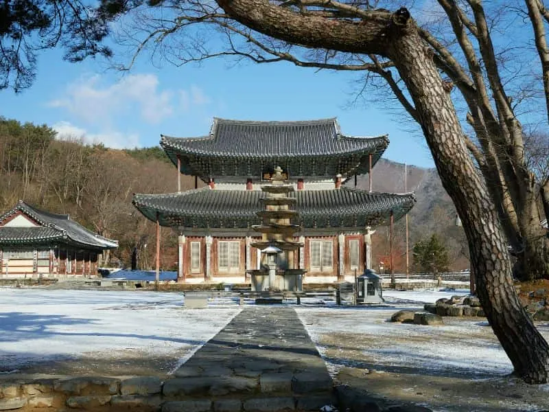 Tour Guide Korea Murah – Mulai 10 Jutaan!