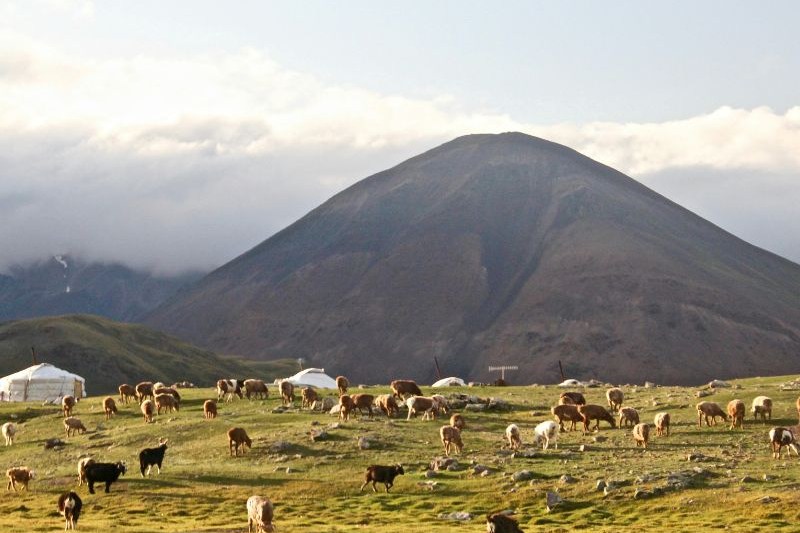 tour-inner-mongolia_large.jpg