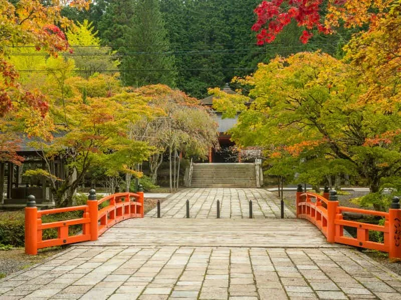 Tour Jepang 5 Hari 4 Malam Open Trip: Itinerary Seru!