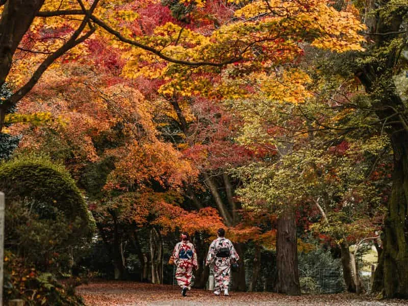 Tour Jepang Autumn 2025, Harga 30 jutaan aja!